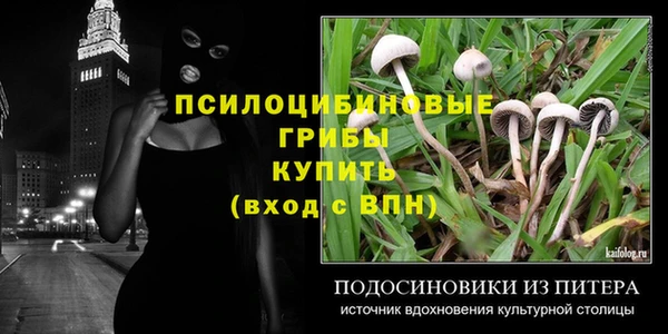 мдпв Вязники